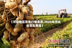 【河北地区花生行情走势,2020年河北省花生费用】