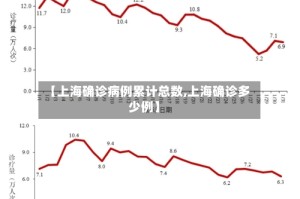 【上海确诊病例累计总数,上海确诊多少例】