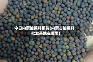 今日内蒙油菜籽报价(内蒙古油菜籽批发基地在哪里)