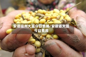 安徽宿州大豆今日费用/安徽省大豆今日费用