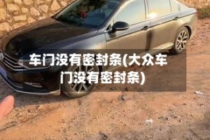 车门没有密封条(大众车门没有密封条)