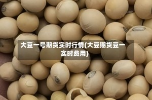 大豆一号期货实时行情(大豆期货豆一实时费用)