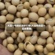 大豆一号期货实时行情(大豆期货豆一实时费用)
