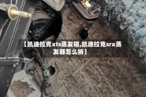 【凯迪拉克xts蒸发箱,凯迪拉克srx蒸发器怎么拆】