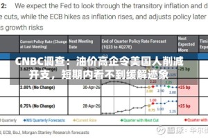 CNBC调查：油价高企令美国人削减开支，短期内看不到缓解迹象