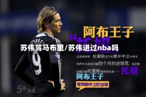 苏伟骂马布里/苏伟进过nba吗