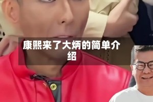 康熙来了大炳的简单介绍