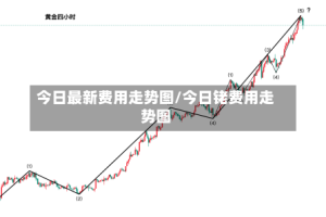 今日最新费用走势图/今日铑费用走势图