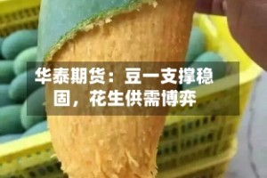 华泰期货：豆一支撑稳固，花生供需博弈