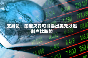 交易员：印度央行可能卖出美元以遏制卢比跌势