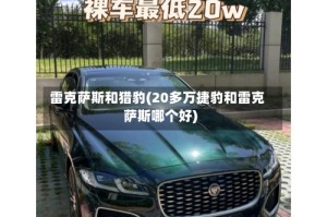 雷克萨斯和猎豹(20多万捷豹和雷克萨斯哪个好)
