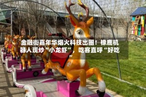 金融街嘉年华烟火科技出圈！橡鹿机器人现炒“小龙虾”，吃客直呼“好吃”