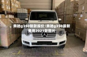 奔驰g350新款报价/奔驰g350最新费用2021款图片