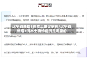 辽宁省新增3例本土确诊病例/辽宁省新增3例本土确诊病例是哪里的