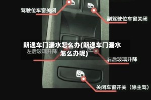 朗逸车门漏水怎么办(朗逸车门漏水怎么办呢)