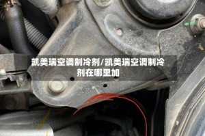 凯美瑞空调制冷剂/凯美瑞空调制冷剂在哪里加