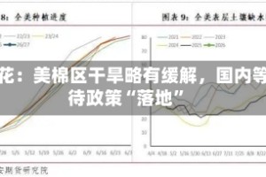 棉花：美棉区干旱略有缓解，国内等待政策“落地”