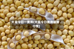 大豆今日一费用(大豆今日费用最新行情)