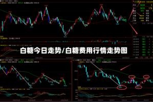 白糖今日走势/白糖费用行情走势图