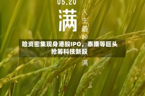 险资密集现身港股IPO，泰康等巨头抢筹科技新股