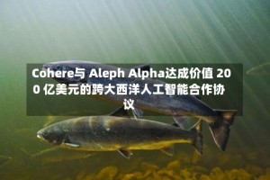 Cohere与 Aleph Alpha达成价值 200 亿美元的跨大西洋人工智能合作协议