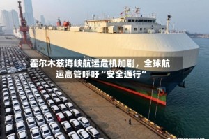 霍尔木兹海峡航运危机加剧，全球航运高管呼吁“安全通行”