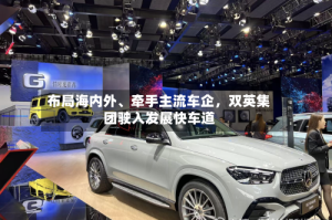 布局海内外、牵手主流车企，双英集团驶入发展快车道