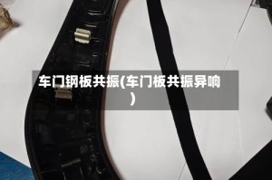 车门钢板共振(车门板共振异响)