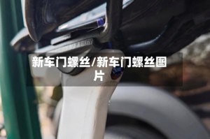 新车门螺丝/新车门螺丝图片