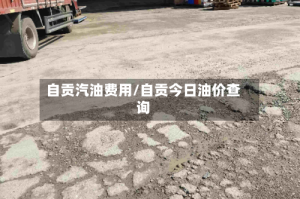 自贡汽油费用/自贡今日油价查询