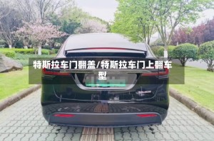 特斯拉车门翻盖/特斯拉车门上翻车型