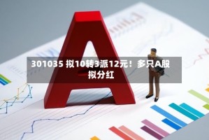 301035 拟10转3派12元！多只A股 拟分红