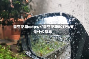 雷克萨斯ectpwr/雷克萨斯ECTPWR是什么意思