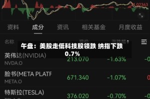 午盘：美股走低科技股领跌 纳指下跌0.7%