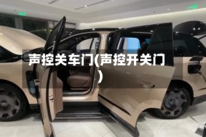 声控关车门(声控开关门)