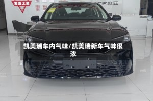 凯美瑞车内气味/凯美瑞新车气味很浓