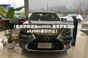 【雷克萨斯混动es300h,雷克萨斯混动eS300h表示什么】