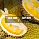 “榴莲自由”，真的要来了