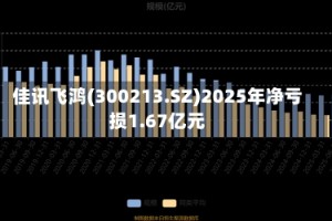佳讯飞鸿(300213.SZ)2025年净亏损1.67亿元
