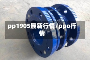 pp1905最新行情/ppo行情