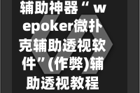 辅助神器“ wepoker微扑克辅助透视软件”(作弊)辅助透视教程