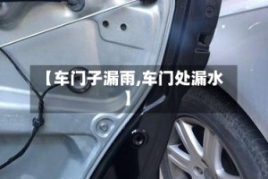 【车门子漏雨,车门处漏水】