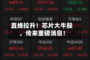 直线拉升！芯片大牛股，传来重磅消息！