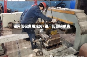 铝用阳极费用走势/铝厂阳极钢爪费用