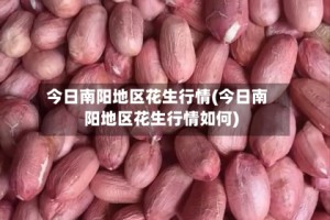 今日南阳地区花生行情(今日南阳地区花生行情如何)
