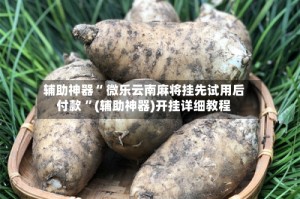 辅助神器“ 微乐云南麻将挂先试用后付款 ”(辅助神器)开挂详细教程