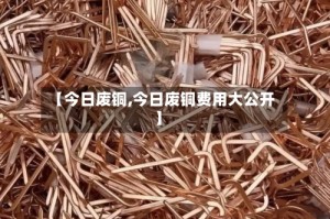 【今日废铜,今日废铜费用大公开】