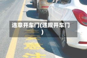 违章开车门(违规开车门)