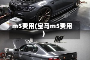 m5费用(宝马m5费用)