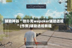 辅助神器“ 微扑克wepoker辅助透视”(作弊)辅助透视教程